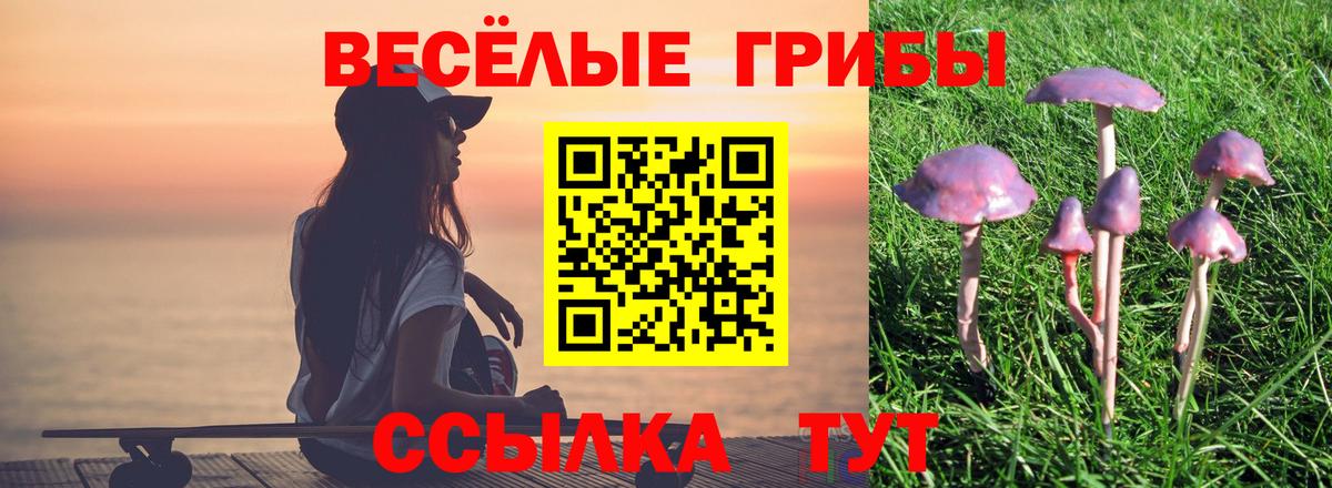 Биробиджан  закладки  Вход с VPN  Галлюциногенные грибы Magic Shrooms 